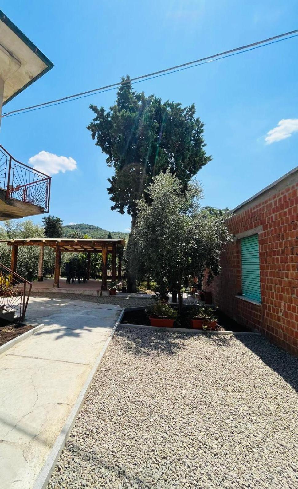 L'olivo Holiday home *